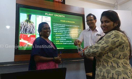 Gemjee Gem Institute - School Tuitions in KK Nagar, Chennai