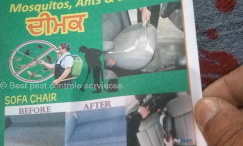 Best pest controle servieces - Pest Control in Chandigarh, Chandigarh