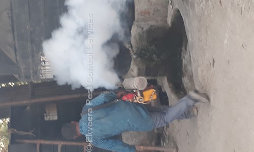 Ekveera Pest Control Services - Pest Control in Badlapur East, Mumbai