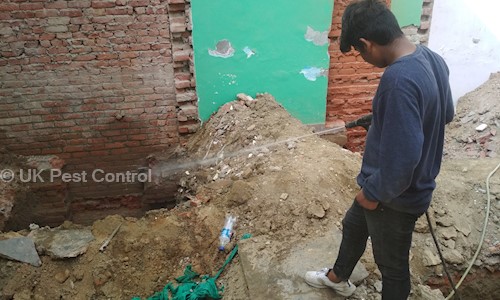 UK Pest Control - Pest Control in Meerut City, Meerut