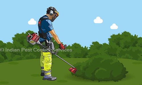 Maxo Pest Control Service - Pest Control in Ramkrishan Nagar, Patna