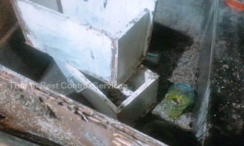 Trinath Pest Control Services	 - Pest Control in Vishakhapatnam Bus Station, Visakhapatnam