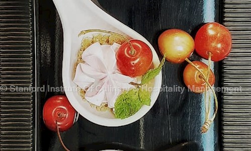 Stanford Institute Of Culinary & Hospitality Management - Job Training in Subhanpura, Vadodara