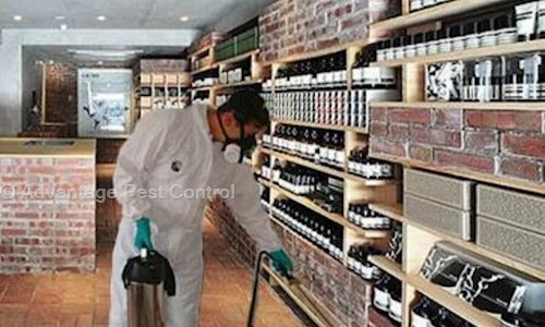Advantage Pest Control - Pest Control in Pushp Vihar, Delhi