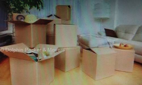 Dolphin Packer & Movers - Packers and Movers in Ranip, Ahmedabad
