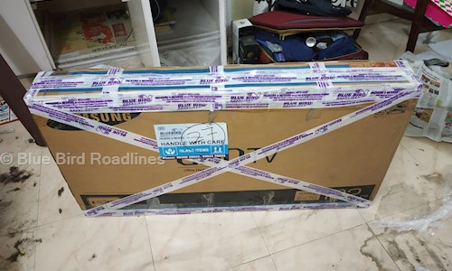 Blue Bird Roadlines - Packers and Movers in Narol, Ahmedabad