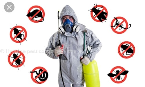 Hygiene pest control services - Pest Control in Saket, delhi