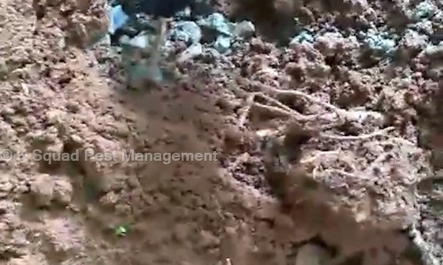 K Squad Pest Management - Pest Control in Wadakkanchery, Thrissur