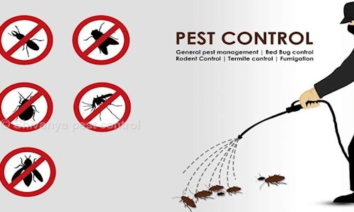 Shivanya pest control - Pest Control in Kothrud, Pune