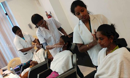 Naturals Training Academy - Job Training in Nungambakkam, Chennai