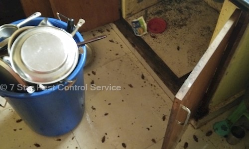 7 Star Pest Control Service - Pest Control in Nandini Layout, Bangalore