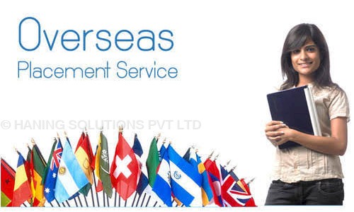 HANING SOLUTIONS PVT LTD - Placement Consultancies in Sector 10, Noida