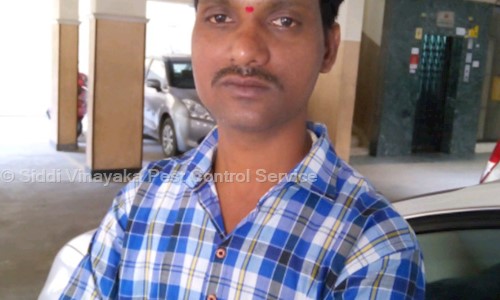 Siddi Vinayaka Pest Control Service - Pest Control in Sanjeeva Reddy Nagar, Hyderabad