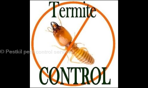 Pestkil pest control service - Pest Control in Saiyed Vasna, Vadodara