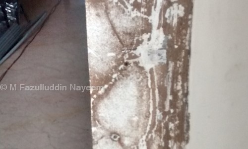 M Fazulluddin Nayeem - Pest Control in Amberpet, Hyderabad