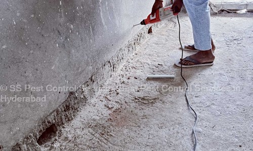 SS Pest Control Service - Best Pest Control Services in Hyderabad - Pest Control in Bagh Lingampally, Hyderabad