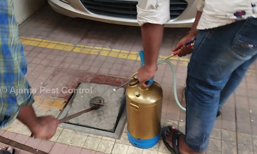 Ajanta Pest Control - Pest Control in Sanpada, Mumbai