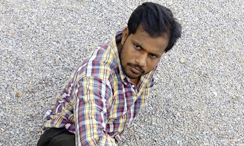 Mahesh - Pest Control in Karwan, Hyderabad