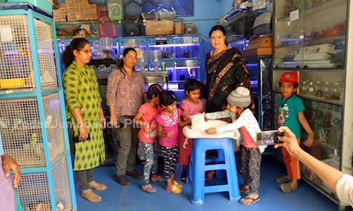 Podar Jumbo Kids Plus - Playschools in Chanda Nagar, Hyderabad