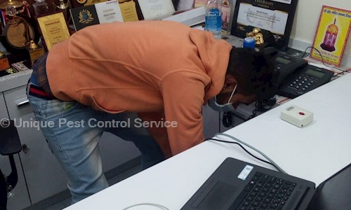 Unique Pest Control Service - Pest Control in Sector 64, mohali