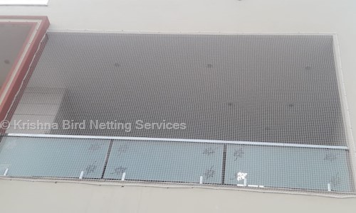 Krishna Bird Netting Services - Pest Control in Jaisinghpura, Jaipur
