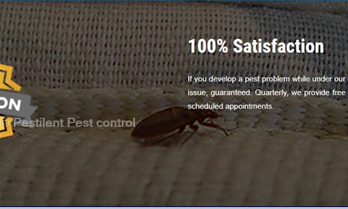 Pestilent Pest control - Pest Control in Aliganj, Lucknow