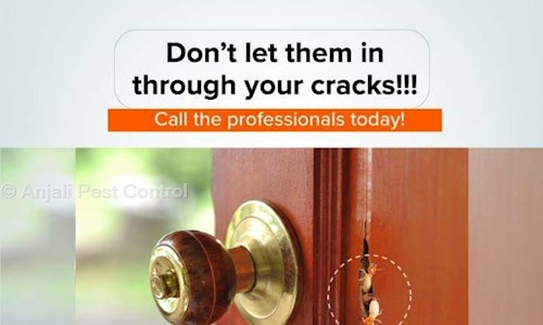 Anjali Pest Control - Pest Control in Sector 48, Faridabad