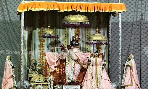 Shree Shayam Packers & Movers - Packers and Movers in Mansarovar, Jaipur