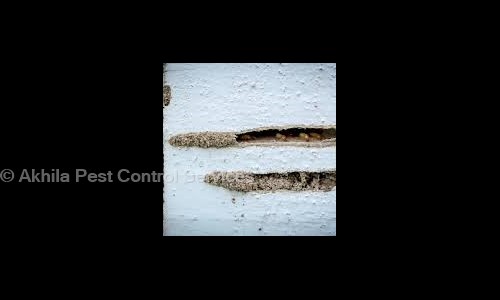 Akhila Pest Control Services - Pest Control in Saroor Nagar, Hyderabad