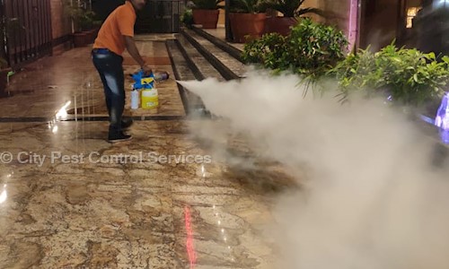 City Pest Control Services - Pest Control in Jhunsi, Allahabad
