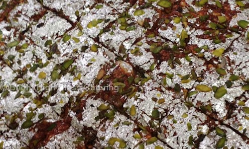 Bright High Class Catering - Catering Services in Saram, Pondicherry