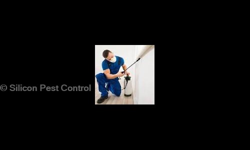 Silicon Pest Control - Pest Control in Vidyaranyapura, Bangalore