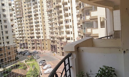 Ashok Enterprises - Pest Control in Marathahalli, Bangalore