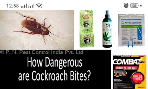 P. N. Pest Control India Pvt. Ltd. - Pest Control in Sector 17, Gurgaon