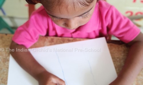 The Indian Orchid's National Pre-School - Playschools in Beltarodi, Nagpur