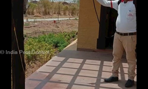 India Pest Control - Pest Control in Station Road, Nagaur