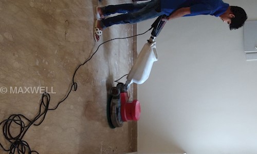 Maxwell - Cleaning, Painting, Pest - Pest Control in Bommanahalli, Bangalore