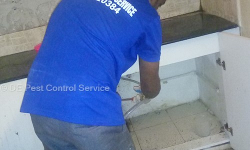 DE Pest Control Service - Pest Control in Thiruverkadu, Chennai