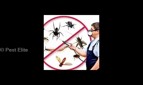 Pest Elite - Pest Control in Pallavaram, Chennai