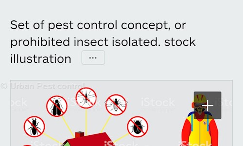 Urban Pest control - Pest Control in Electronic City, Bangalore