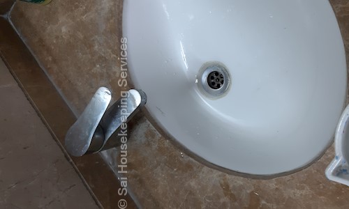 Sai House Keeping Services - Pest Control in Mahal, Nagpur