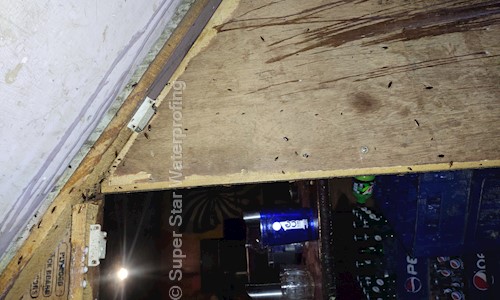 Super Star Waterprofing - Pest Control in Shastri Nagar, Jaipur