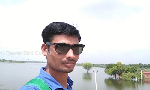 Rawat Bird Control - Pest Control in Murlipura, Jaipur