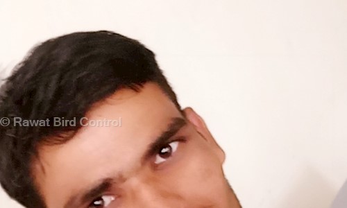 Rawat Bird Control - Pest Control in Murlipura, Jaipur