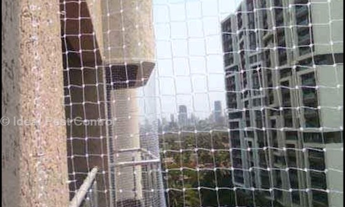 Ideal Pest Control - Pest Control in Dighi, Pune