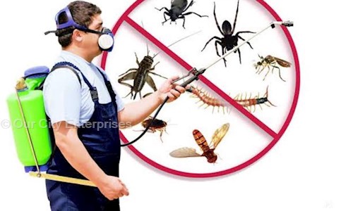 Our City Enterprises - Pest Control in Maduravoyal, Chennai