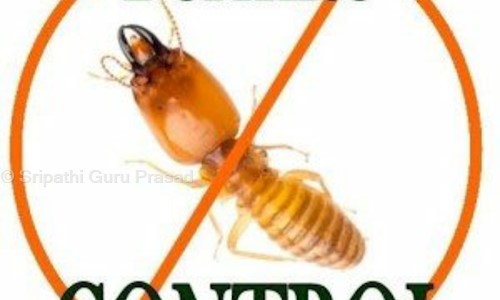 Needs Pest Control - Pest Control in Hakimpet, Hyderabad