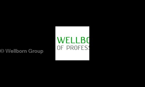 Wellborn Group - Distance Education in Indira Nagar, Lucknow