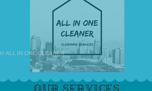 ALL IN ONE CLEANER - Pest Control in Jharapada, Bhubaneswar