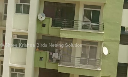 Shree Krishna Birds Netting Solution - Pest Control in Lal Kothi, Jaipur